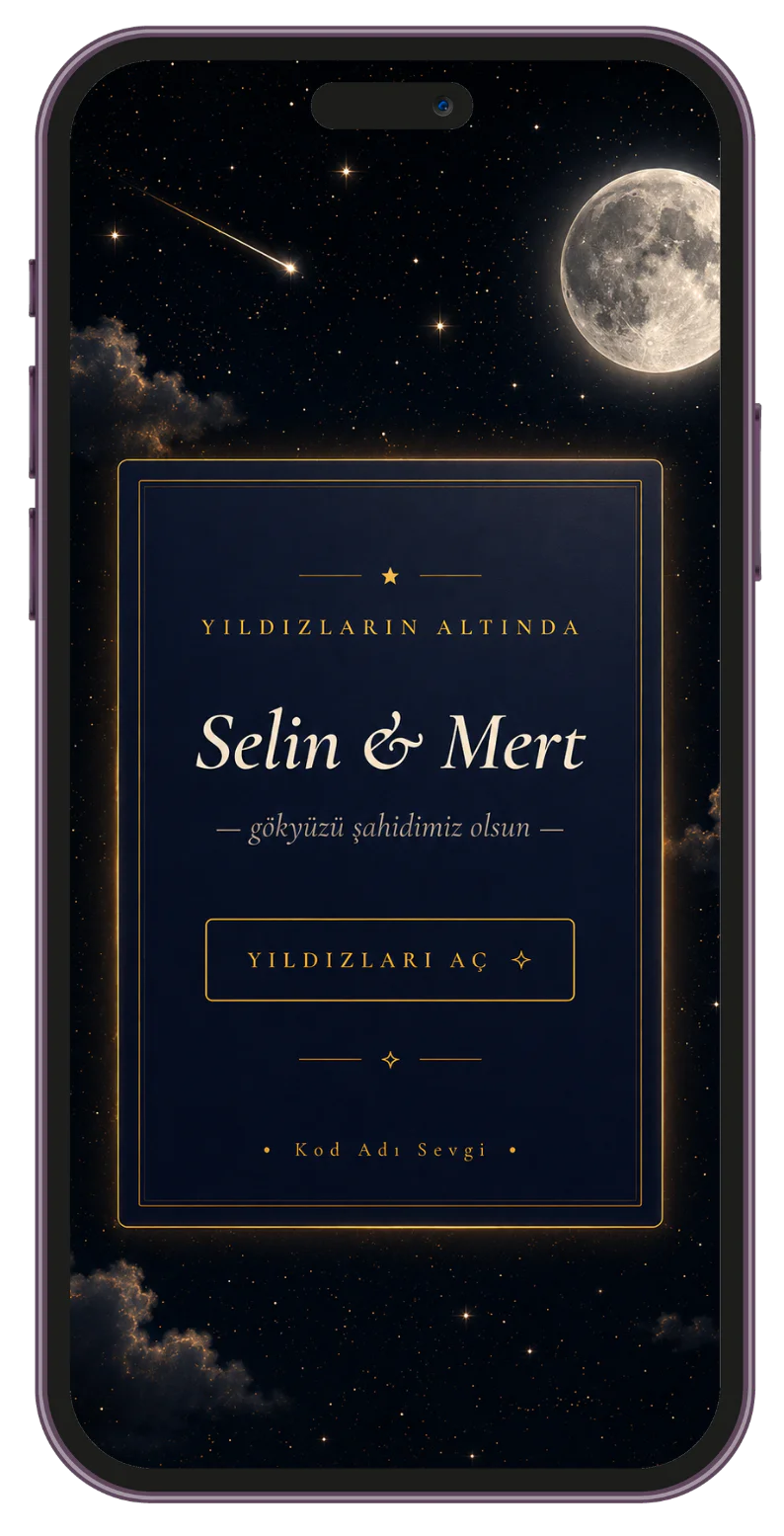 Gece Yıldızları